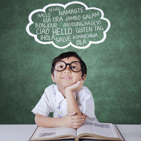 L'apprenant bilingue dans un contexte scolaire francophone